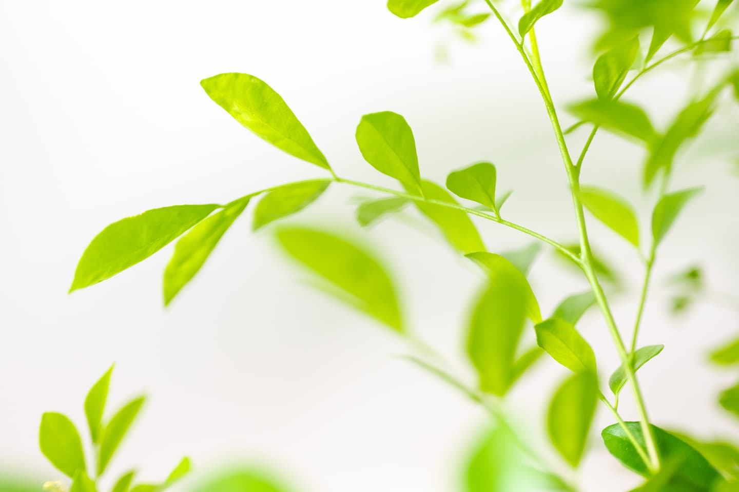 豊新塾,テスト対策,内申点,